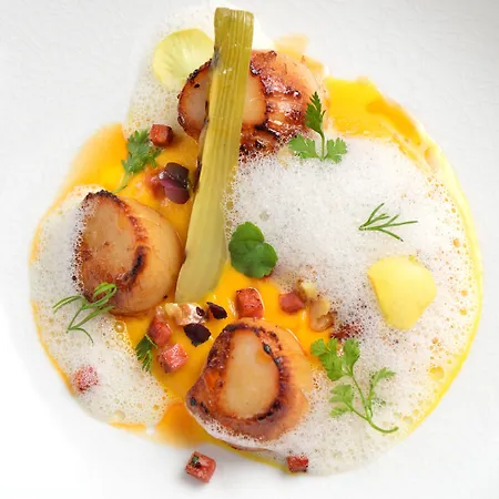 드 세르 샹젤리제 파리스 호텔 파리